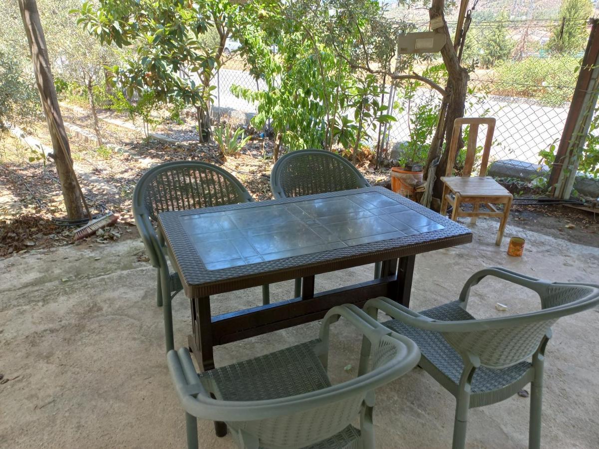 Adventurous Local Hostel Fethiye Luaran gambar
